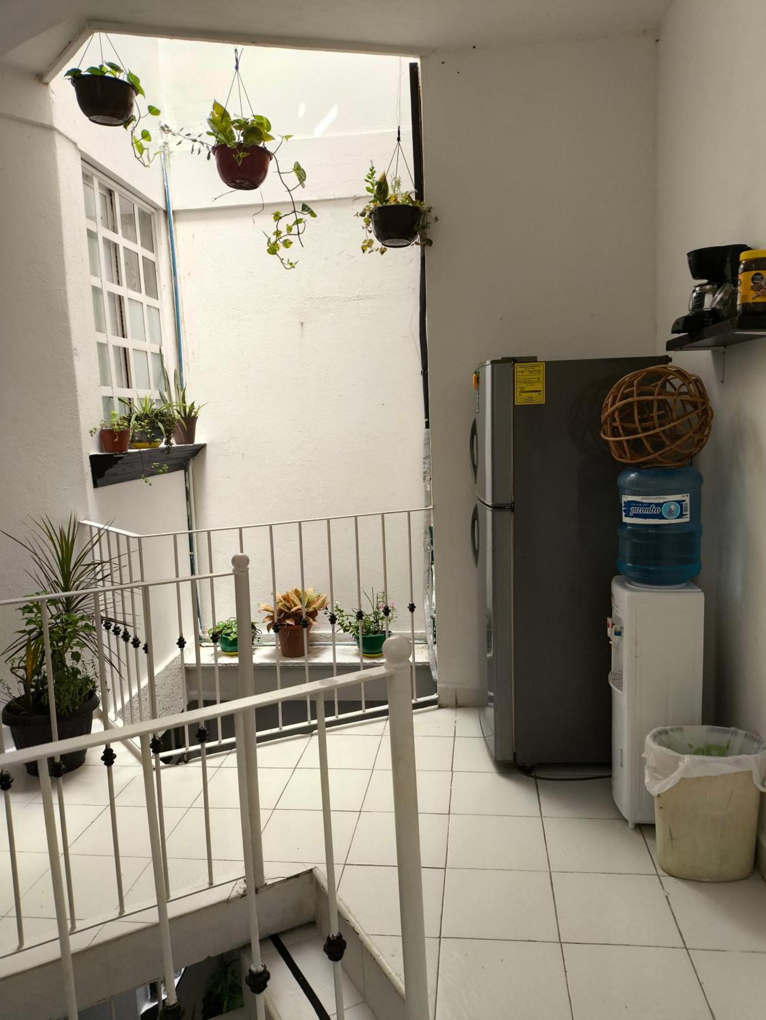 Hotel Casa Luna Palenque Ngoại thất bức ảnh
