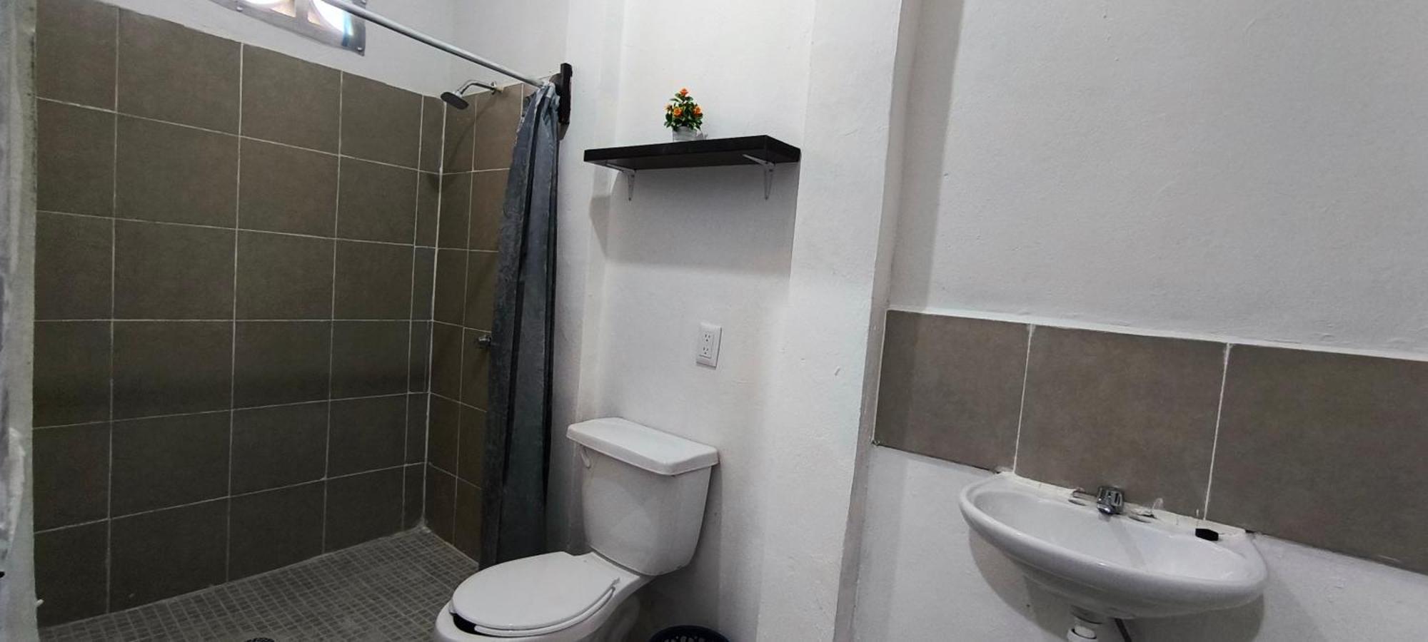 Hotel Casa Luna Palenque Ngoại thất bức ảnh